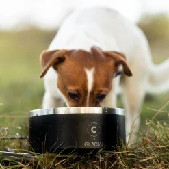 Collar of Sweden Hundskål 900 ml