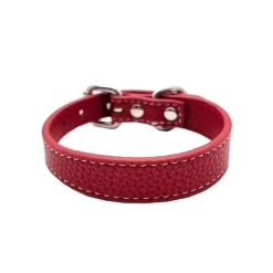 Collar of Sweden Smalt Hundhalsband Röd