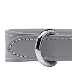 Collar of Sweden Smalt Hundhalsband Reflex