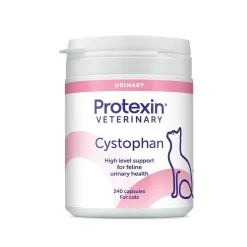 Cystophan Katt