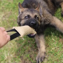 Dingo Gear Kamprulle i Jute med 1 Handtag 40 cm