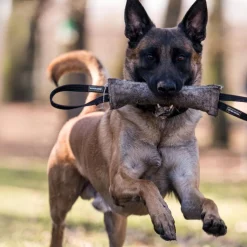 Dingo Gear Kamprulle i Jute med 2 Handtag 40 cm