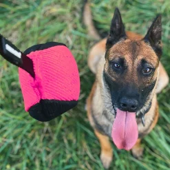 Dingo Gear Mjuk Träningsboll med Snöre 9 cm