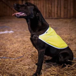 Dogman Rex Reflexväst Gul