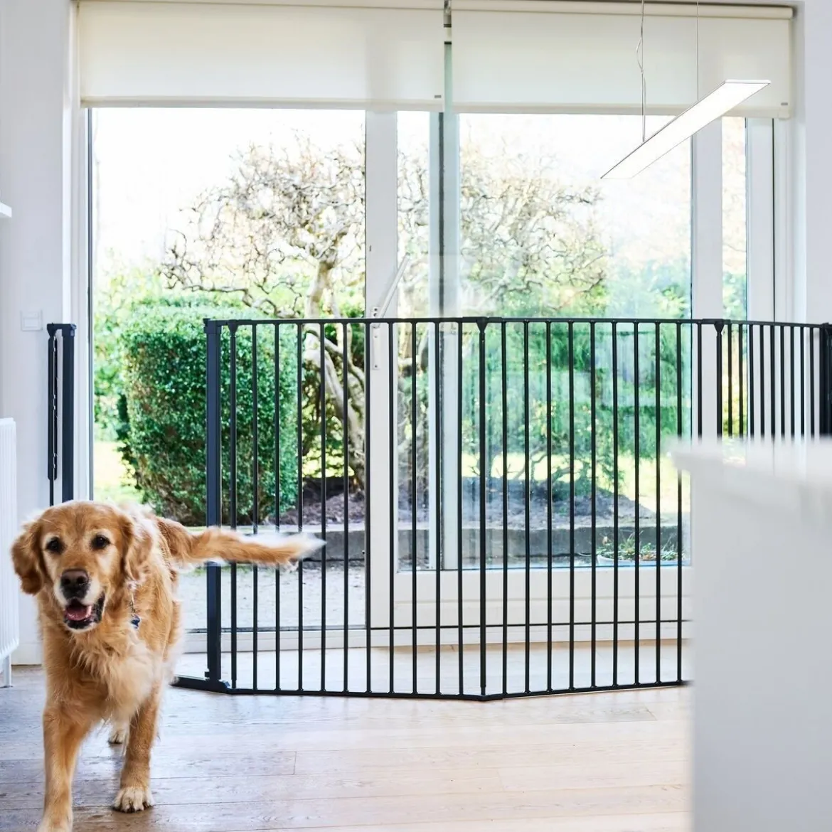 DogSpace Rocky Utdragbar Hundgrind Svart 90-221x104,5 cm