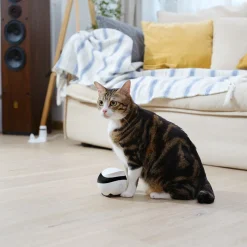 Enabot EBO SE Wireless Camera Robot Husdjurskamera