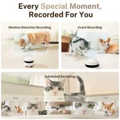 Enabot Rola Mini Companion Robot Husdjurskamera