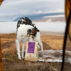 Essential Foods Highland Living Torrfoder till Hund 10 kg