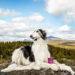Essential Foods Highland Living Paté Våtfoder till Hund 400 g