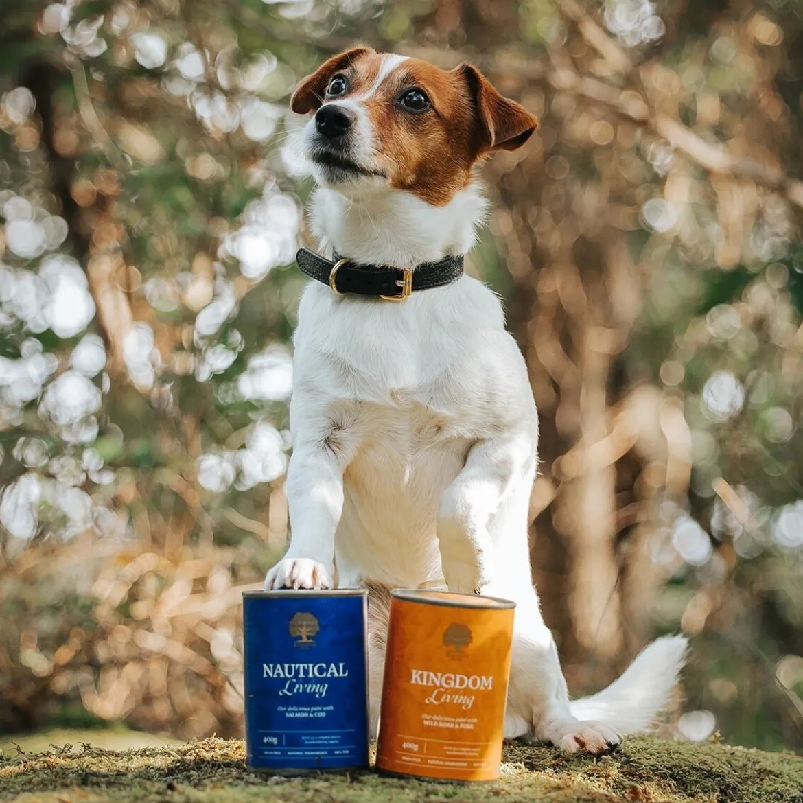 Essential Foods Kingdom Living Paté Våtfoder till Hund 400 g