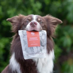 Essential Foods Mini Delights Hundgodis Kalkon 100 g