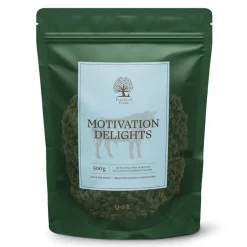 Essential Foods Motivation Delights Träningsgodis Nöt 500 g
