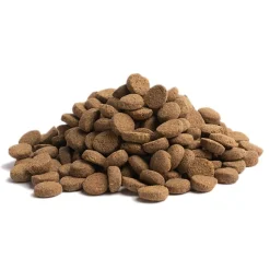 Essential Foods Older Seniorfoder till Hund 10 kg