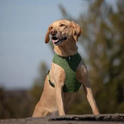 Feel Active Eco Soft Hundsele Grön