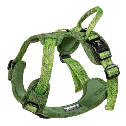 Feel Active Eco Training Hundsele Grön