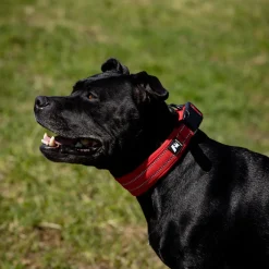 Feel Active Padded Hundhalsband Röd