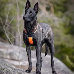 Feel Active Sport Sele Orange