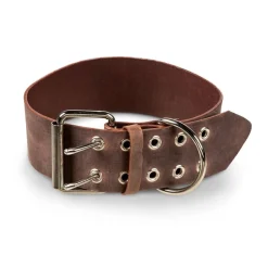 Feel Brett Hundhalsband i Läder Brun
