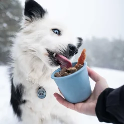 Fiboo Slowfeeder-kopp till Hund & Katt Blå