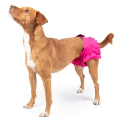 FinNero Ballerina Tikskydd Rosa