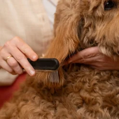 Fiskars Kam för Hund & Katt Gles