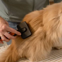 Fiskars Karda för Hund & Katt