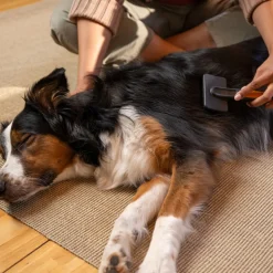 Fiskars Massageborste för Hund & Katt