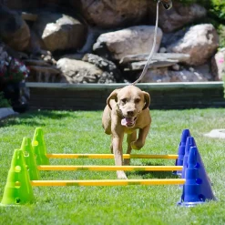 FitPaws K9 Cavaletti Agilityset 3 Hinder & 6 Koner