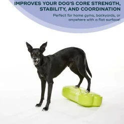 FitPaws K9FitBone Balansplatta till Hund