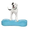 FitPaws K9FitBone Giant Balansplatta till Hund Turkos
