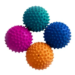 FitPaws Paw Pods Balansplattor till Hund 4-pack