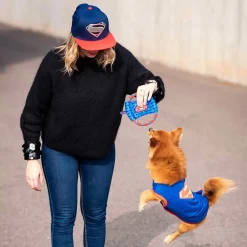For FAN Pets Superman Hundtröja Blå