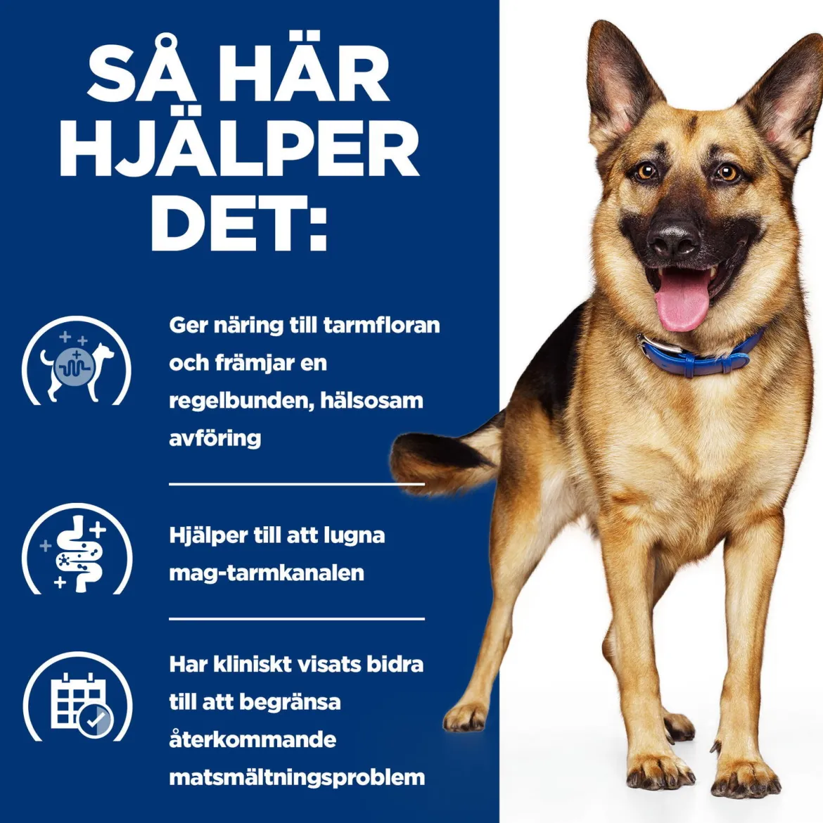 Hill's Prescription Diet Canine Gastrointestinal Biome Digestive/Fibre Care Chicken