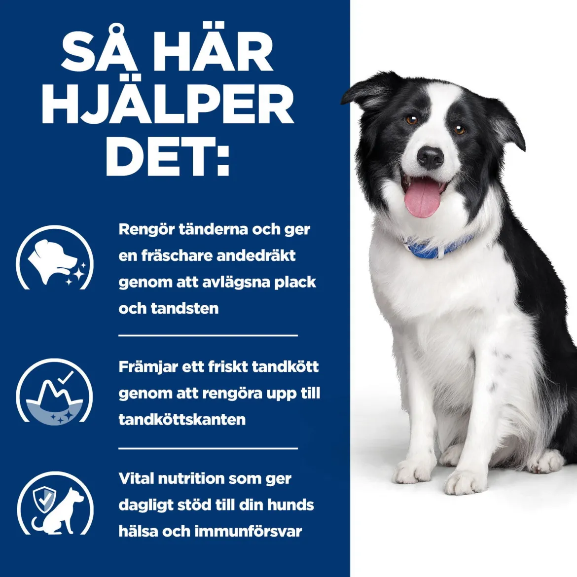 Hill's Prescription Diet Canine t/d Dental Care Chicken