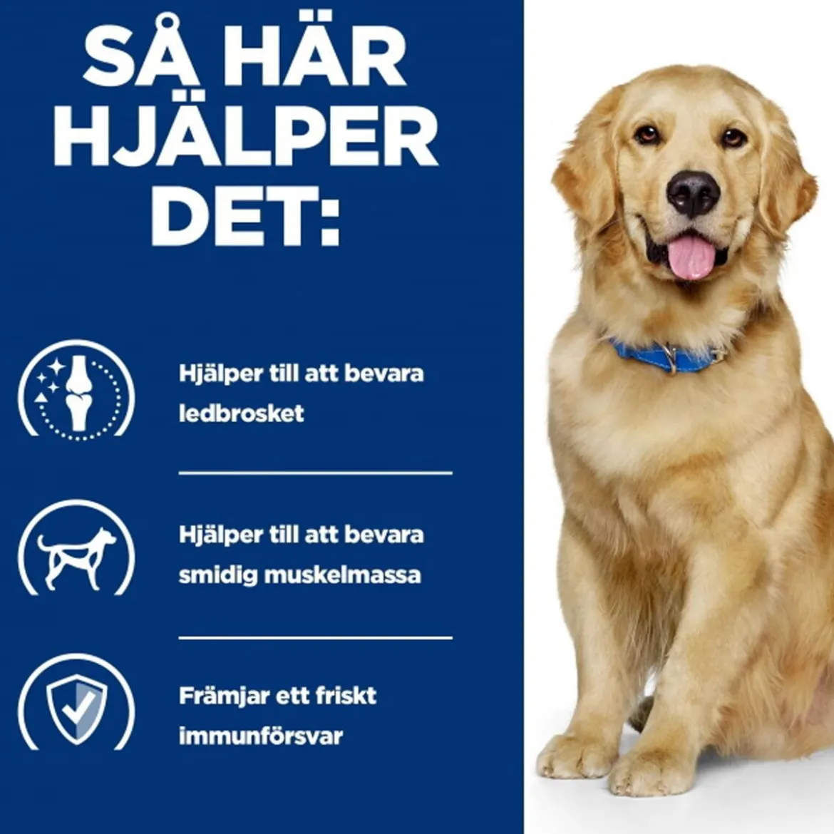 Hill's Prescription Diet Canine j/d Mobility Chicken 2x12 kg