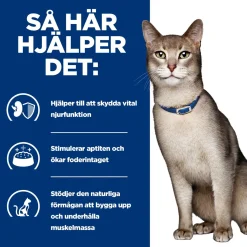Hill's Prescription Diet Feline k/d Kidney Care Chicken