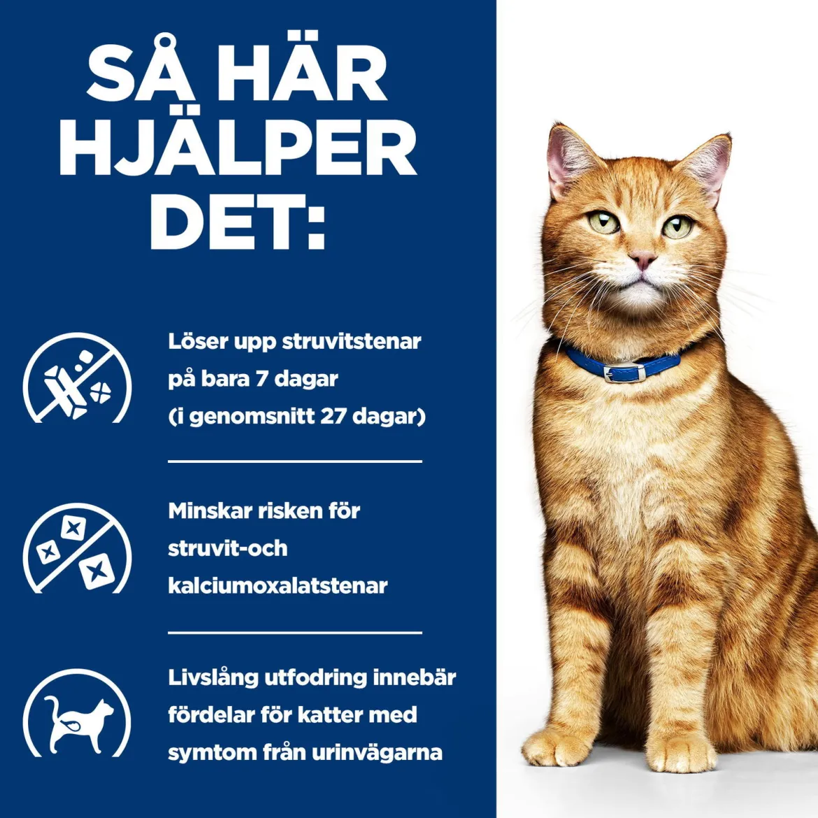 Hill's Prescription Diet Feline c/d Urinary Care Multicare Chicken