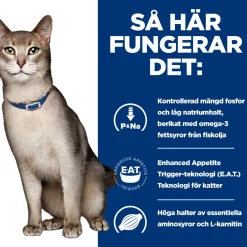 Hill's Prescription Diet Feline k/d Kidney Care Salmon 12x85 g