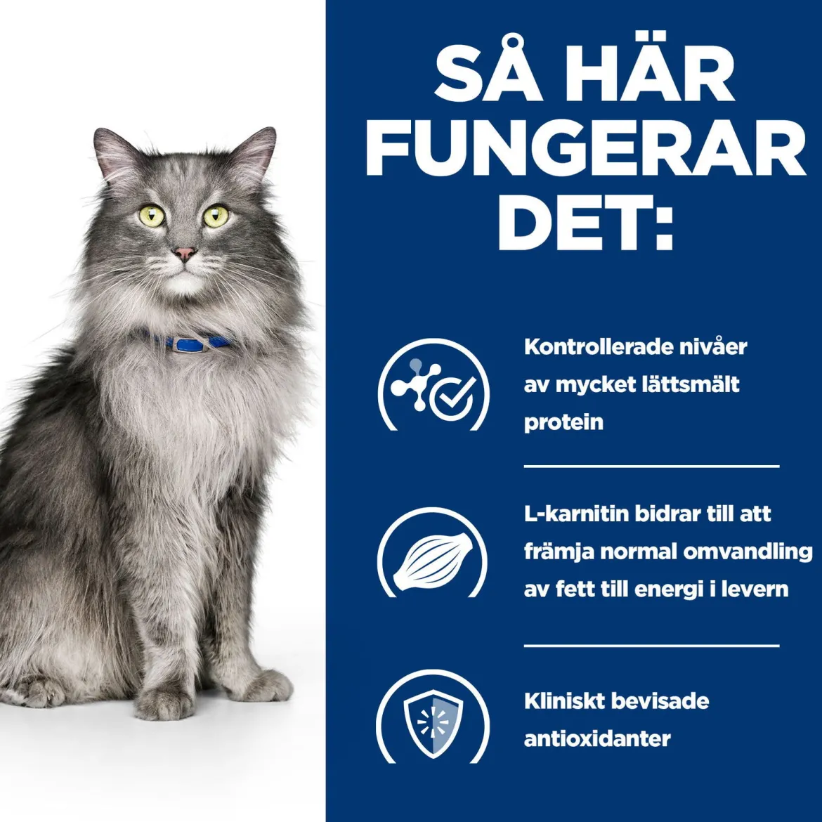 Hill's Prescription Diet Feline l/d Liver Care Chicken 1,5 kg