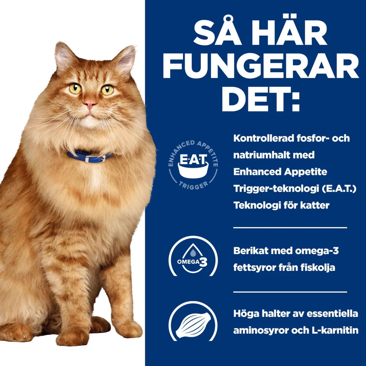 Hill's Prescription Diet Feline k/d j/d Kidney + Mobility Chicken