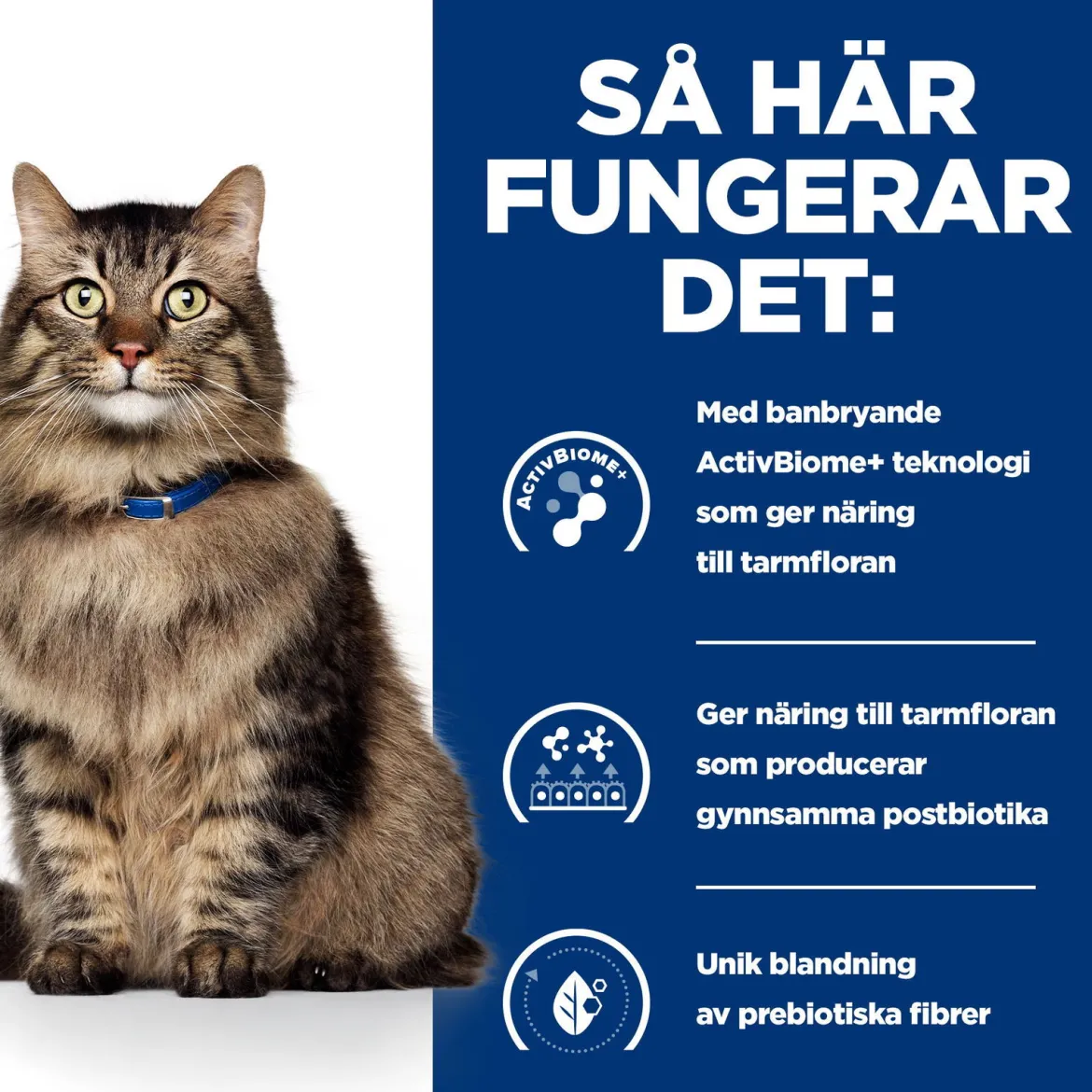 Hill's Prescription Diet Feline Gastro Biome Chicken