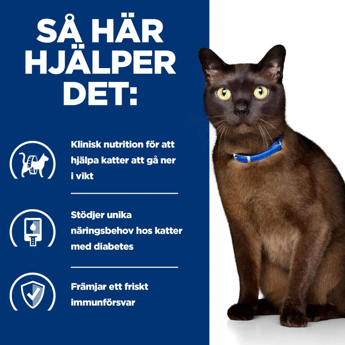 Hill's Prescription Diet Feline m/d Diabetes Care Chicken