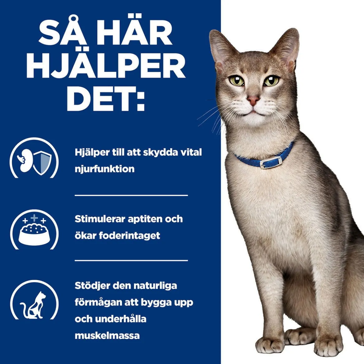 Hill's Prescription Diet Feline k/d Chicken 156 g