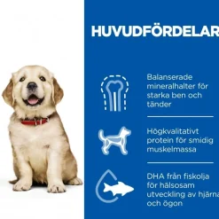 Hill's Science Plan Puppy Large Breed Chicken 2x14,5 kg