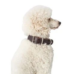 Hunter Aalborg Special Hundhalsband Mörkbrun
