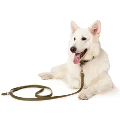 Hunter Aalborg Special Hundhalsband Grön