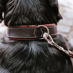 Hunter Canadian Up Hundhalsband Svart
