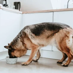 Hunter Eiby Hundmatskål i Keramik Grå