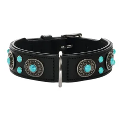 Hunter Sioux Läderhalsband till Hund