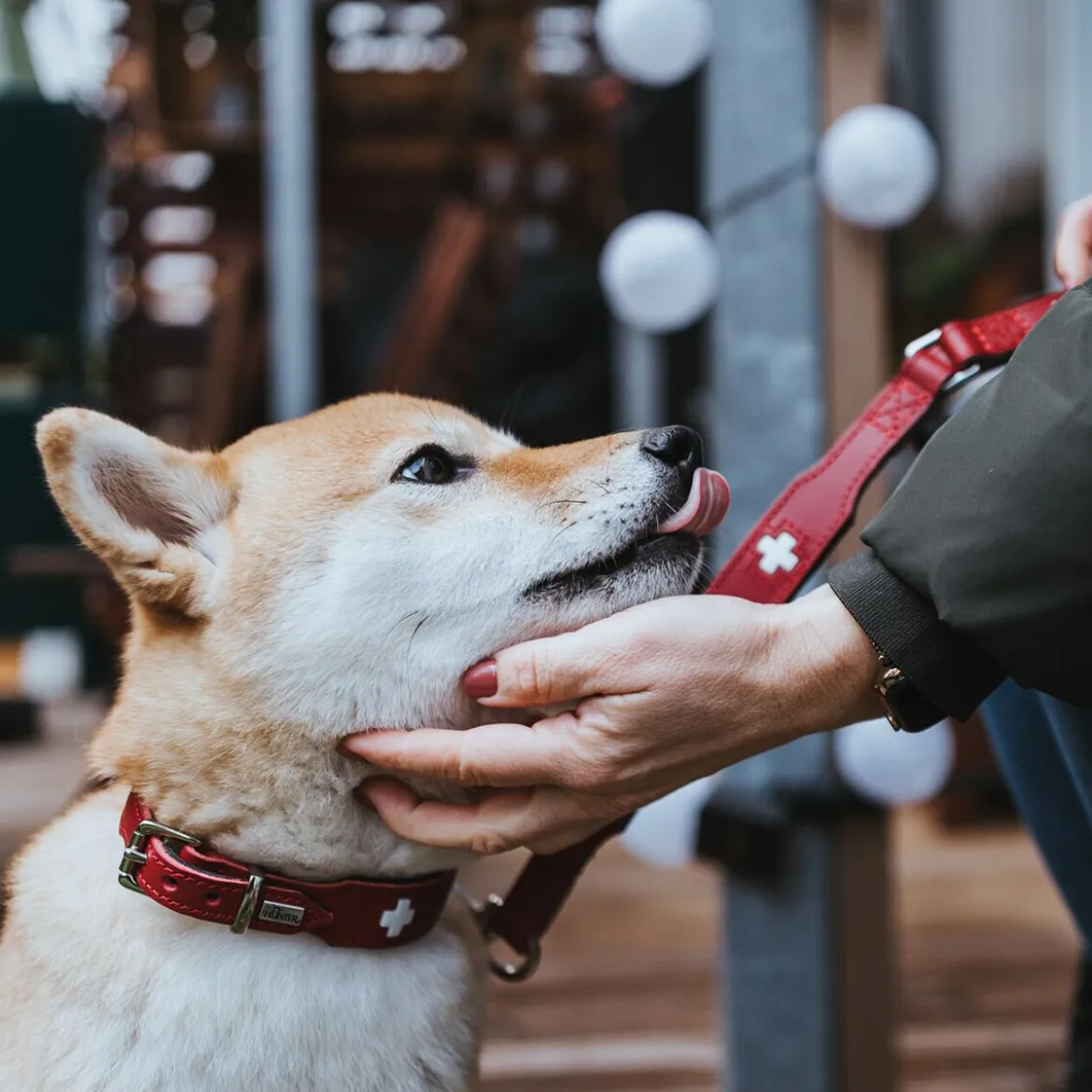 Hunter Swiss Hundhalsband Röd